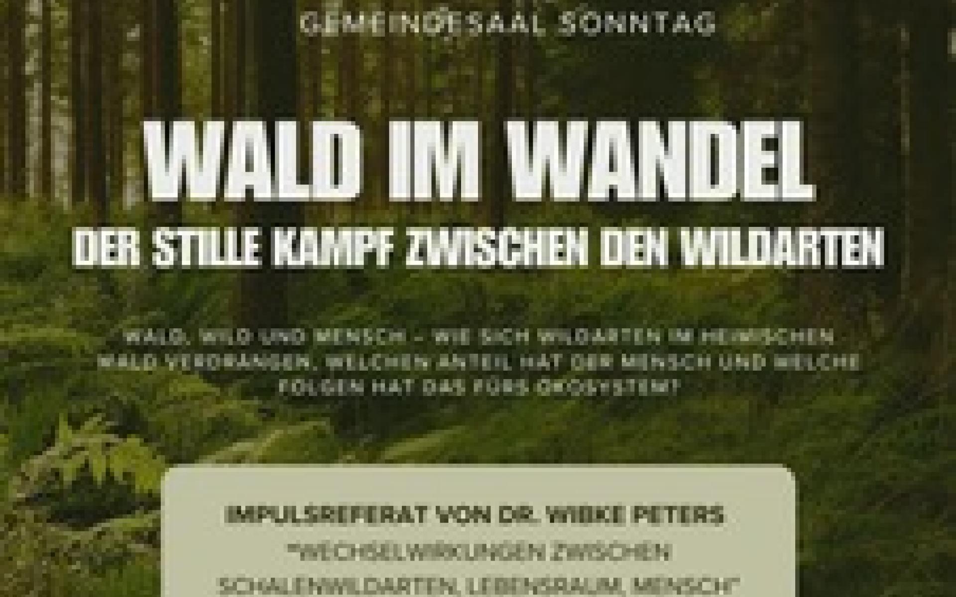 Wald im Wandel